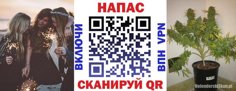 Конопля индика  мориарти состав  Котельнич 